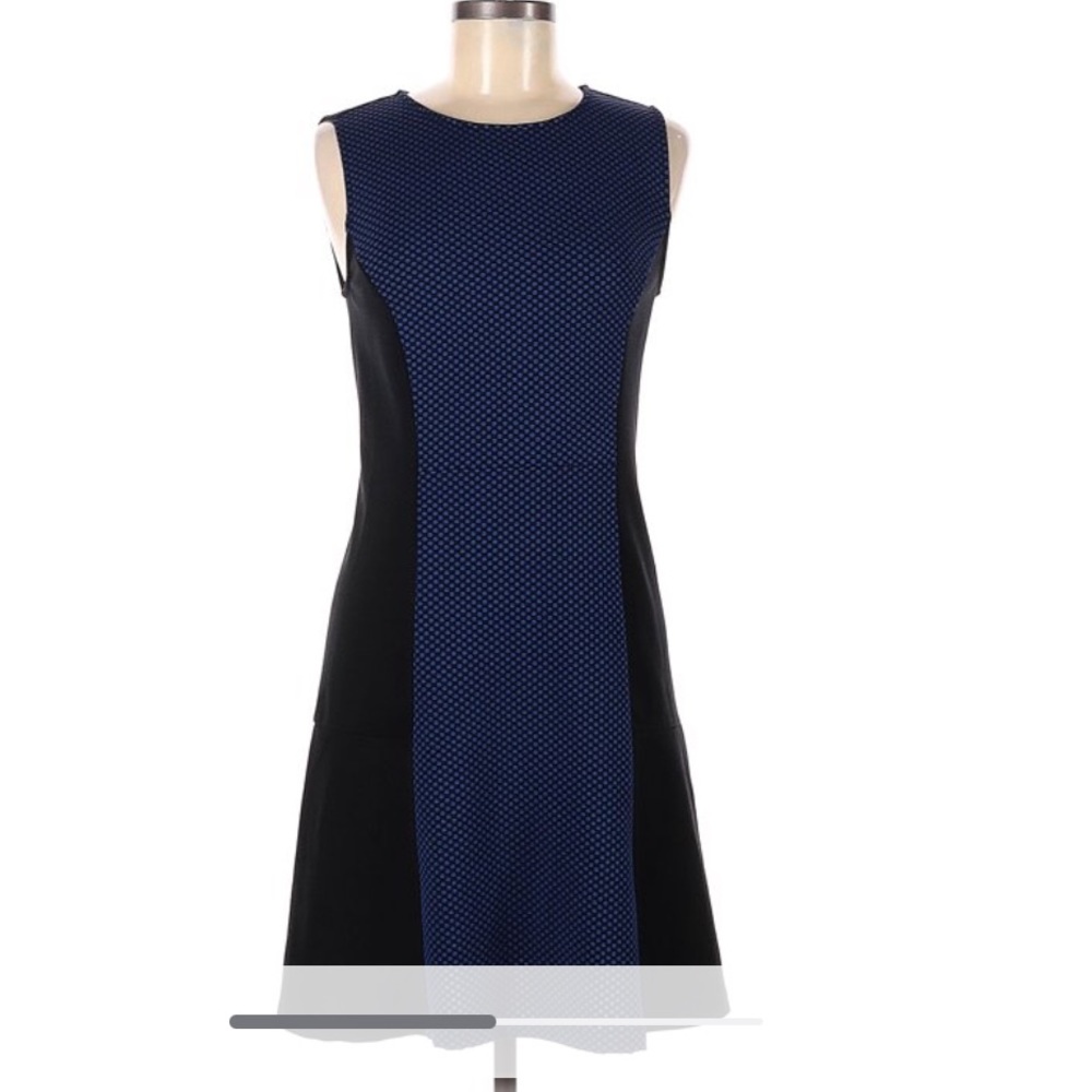 Daisy Fuentes. Flare Blue and Black Paneled Size Large Dress.